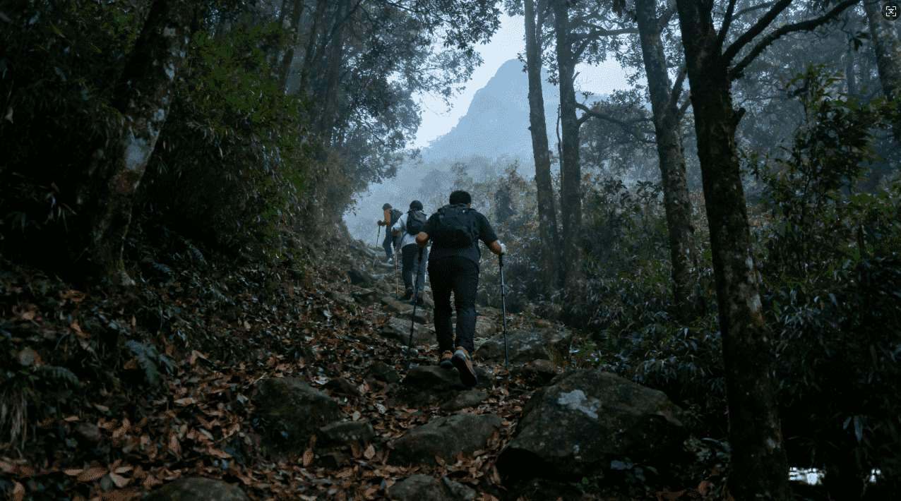 黑洞加速器安卓版详细使用方法与操作指南视频教程